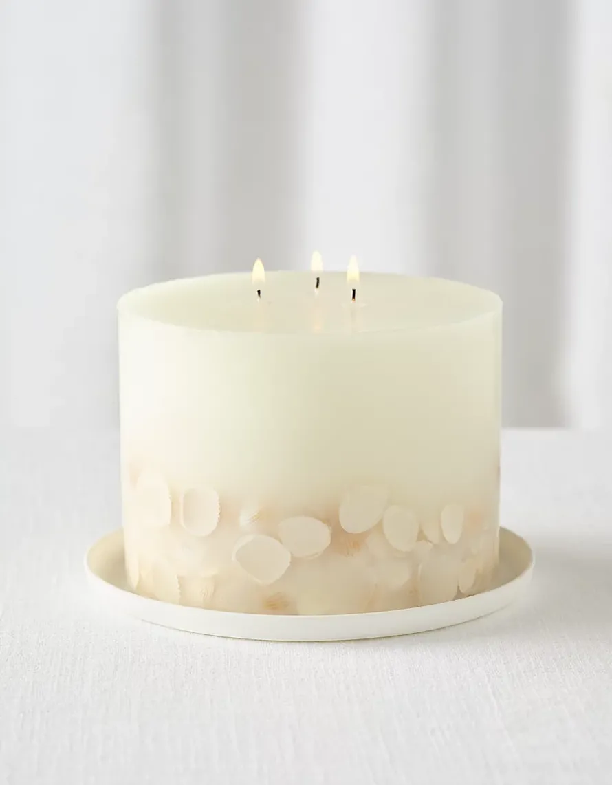 Botanical Candle Plate – Large
