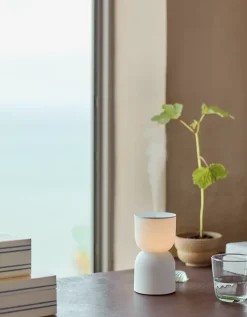 Calm Light Electronic Diffuser