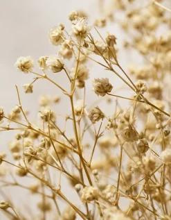 65cm Dried Gypsophila Wreath