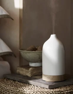 Electronic Diffuser