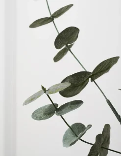 Eucalyptus Branches – Set of 2