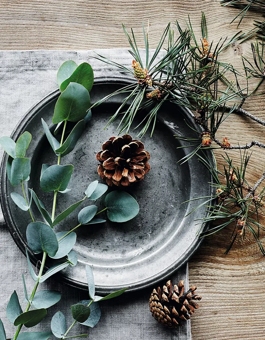 Fir Tree Luxury Signature Candle