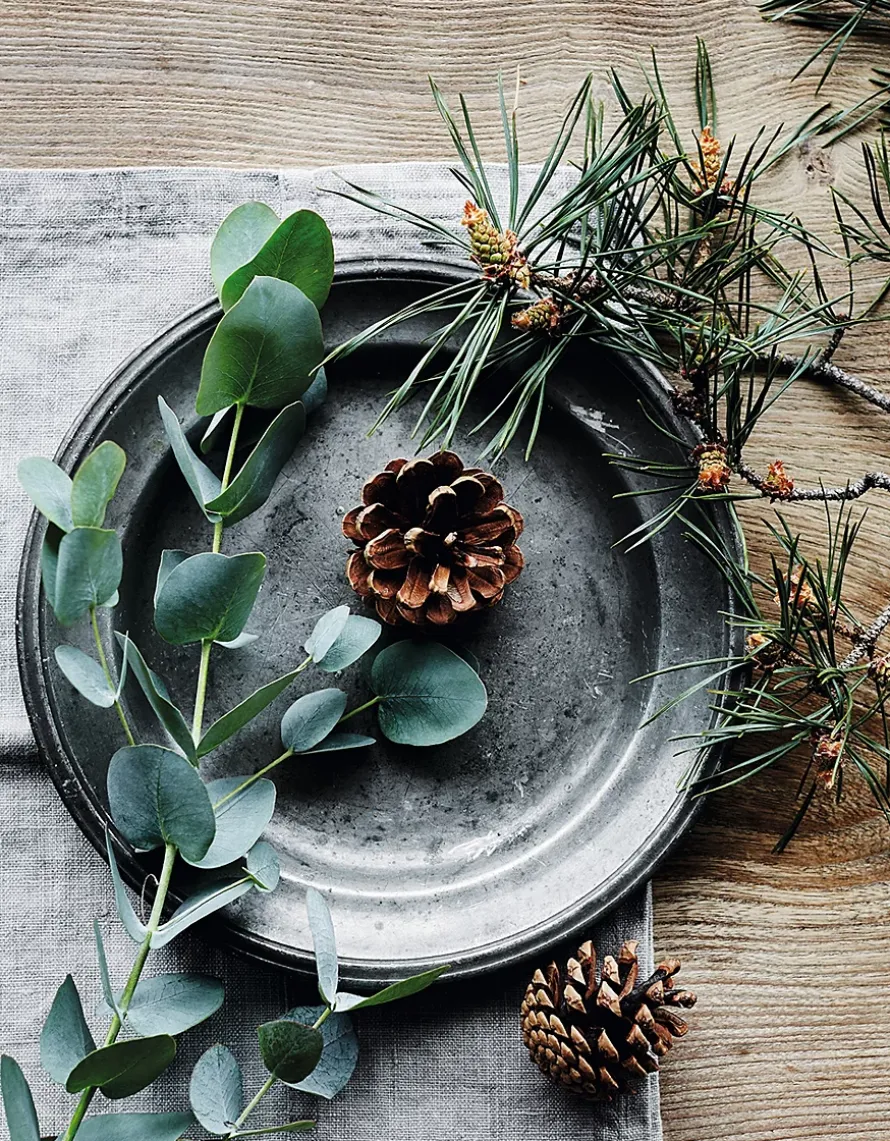 Fir Tree Luxury Signature Candle