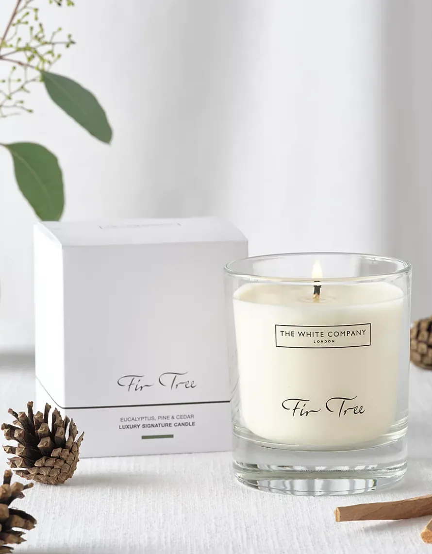 Fir Tree Luxury Signature Candle