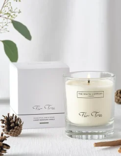 Fir Tree Luxury Signature Candle