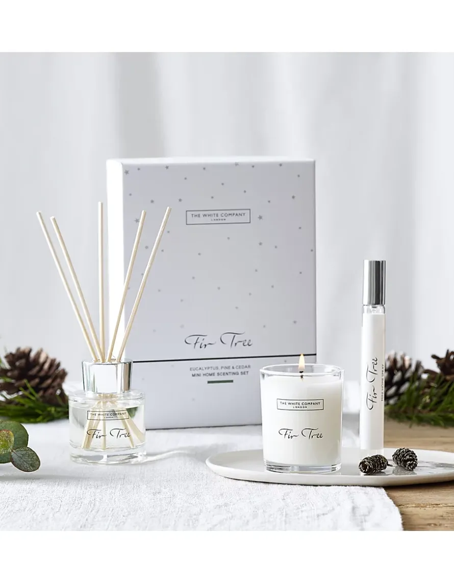 Fir Tree Mini Home Scenting Gift Set