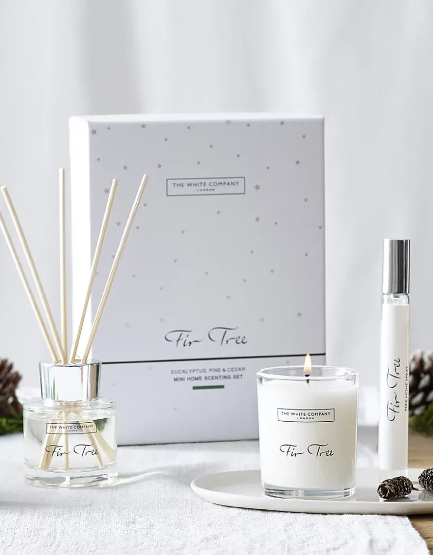 Fir Tree Mini Home Scenting Gift Set