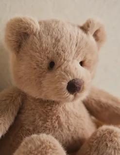 Honey Bear – Medium
