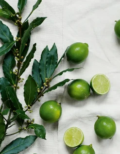Lime & Bay Eau de Toilette Rollerball – 15ml