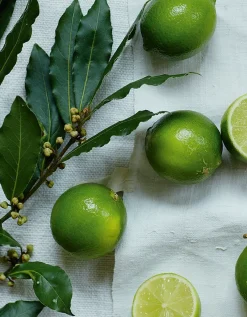 Lime & Bay Home Scenting Gift Set