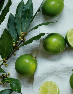 Lime & Bay Large Candle