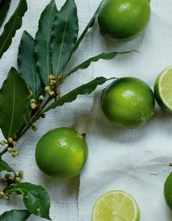 Lime & Bay Mini Hand Cream