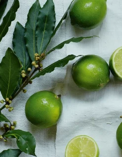 Lime & Bay Mini Home Scenting Gift Set