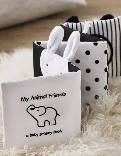 My Animal Friends Baby Sensory Book