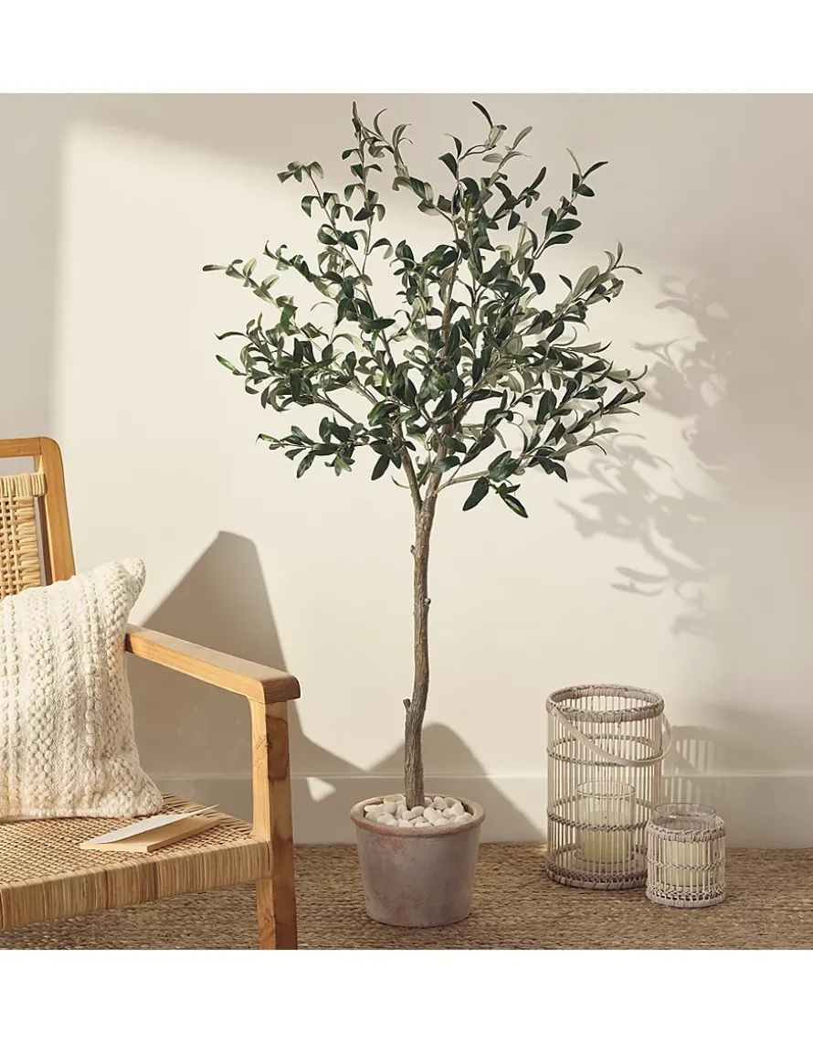 Olive Potted Tree