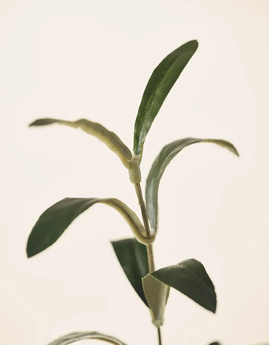 Olive Potted Tree