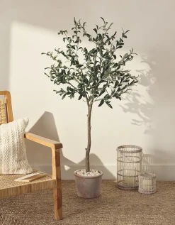 Olive Potted Tree