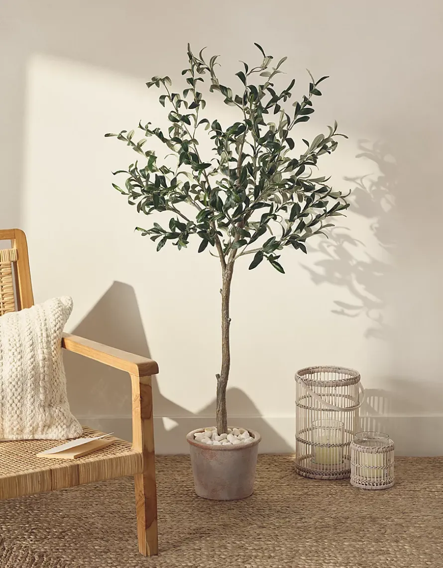 Olive Potted Tree