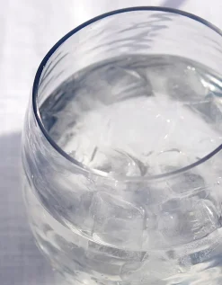 Picnic Tumbler Glass