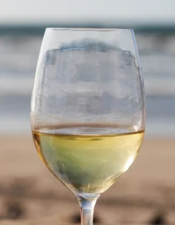 Picnic Wine Glass