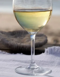 Picnic Wine Glass