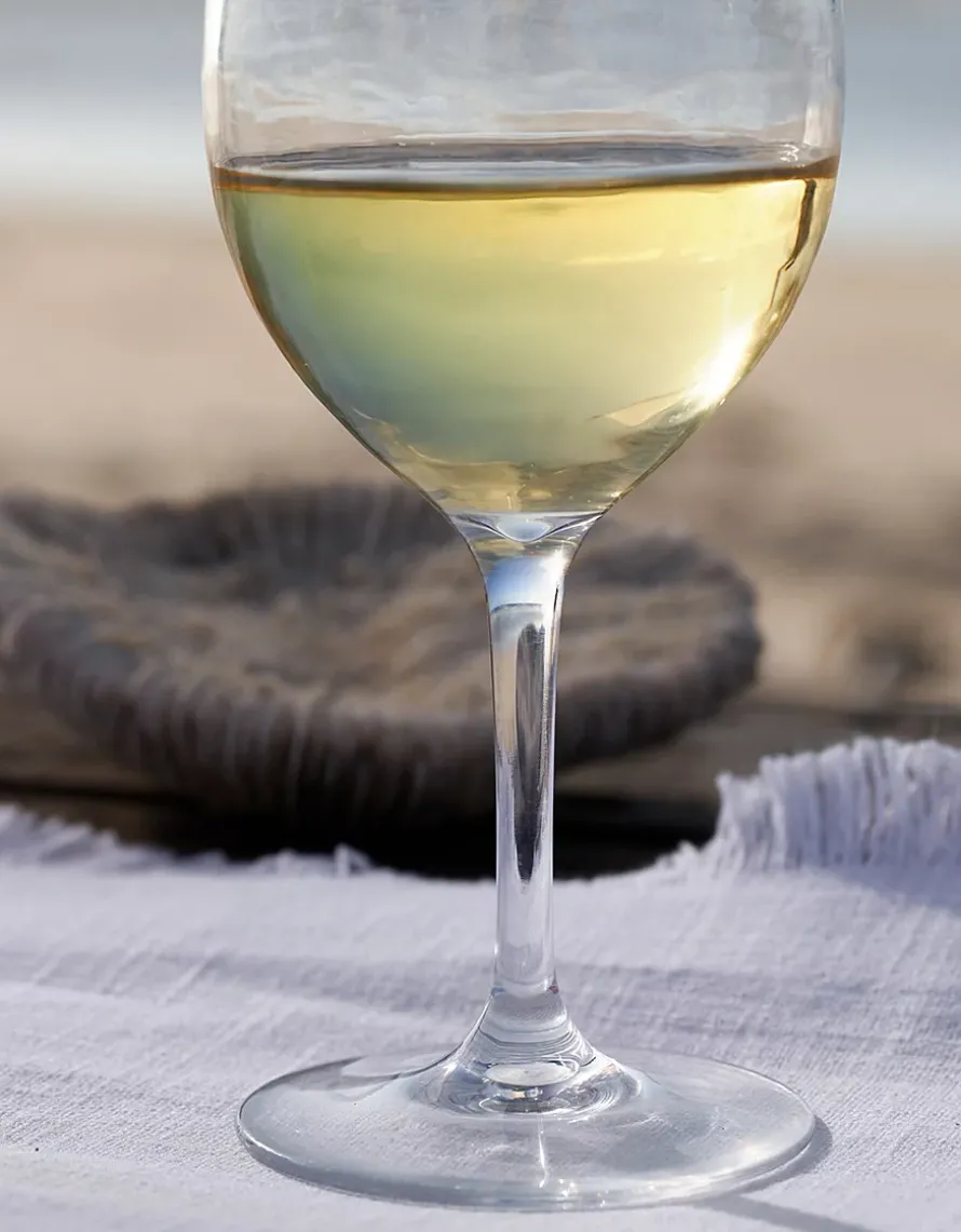 Picnic Wine Glass