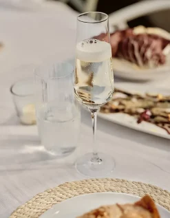 Pimlico Champagne Flute Glasses – Set of 4