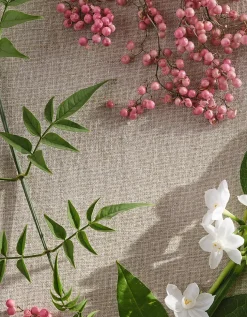 Primrose Hill Luxury Diffuser