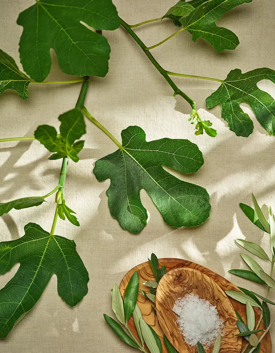 Provence Edit Collection
