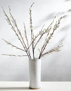 Pussy Willow Branches