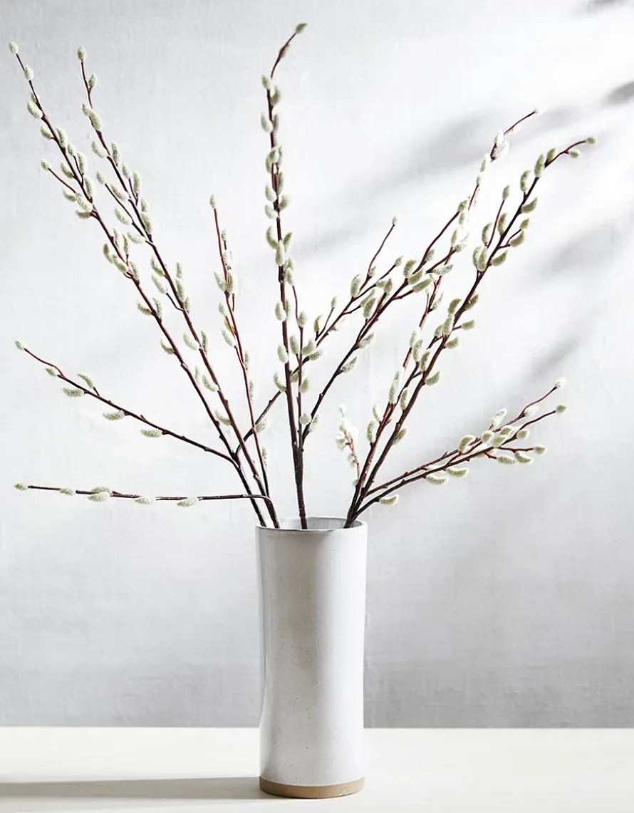 Pussy Willow Branches