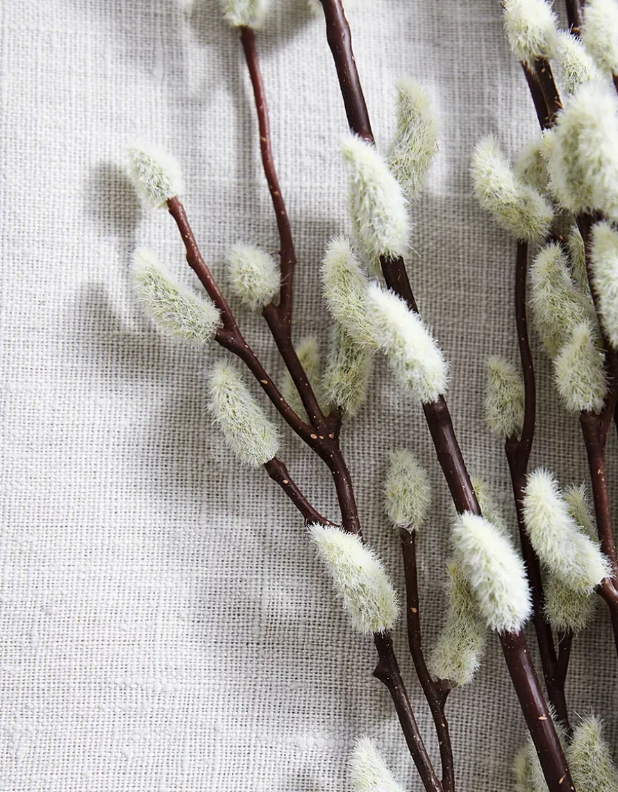 Pussy Willow Branches