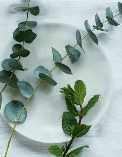 Spa Restore Fragrance Oil
