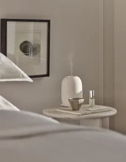 Spa Wellness Pod Electronic Diffuser