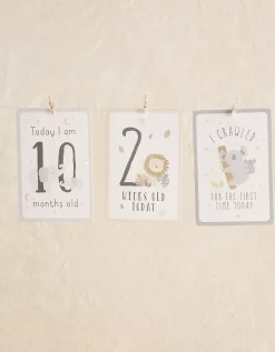 Special Moment Cards