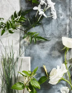 Spring Diffuser