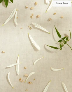 The White Company Discovery Hamper