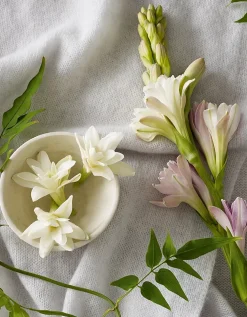 Tuberose & Cashmere Signature Candle