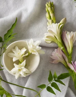 Tuberose & Cashmere Signature Candle