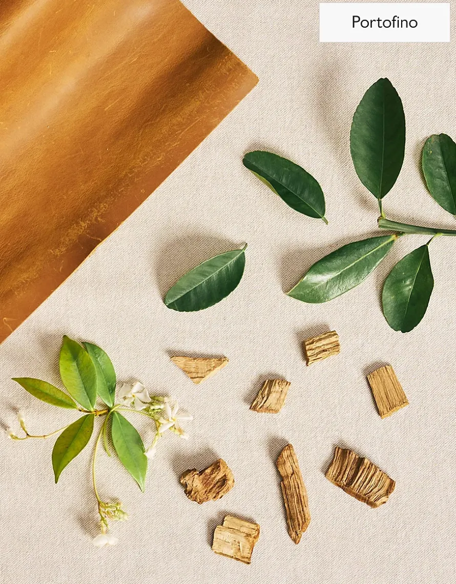 Waterless Electronic Diffuser & The Edit Collection Fragrance Oil Set