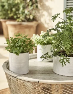 White Ribbed Ceramic Planter – Small