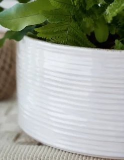 White Ribbed Ceramic Planter – Large