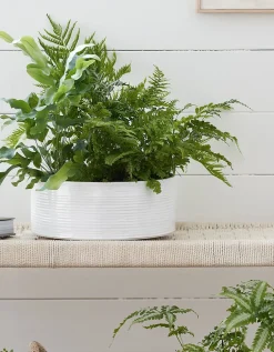 White Ribbed Ceramic Planter – Large