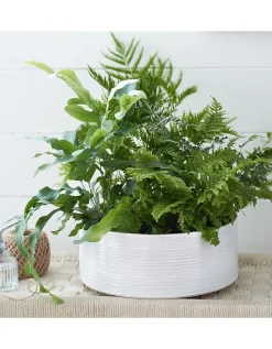White Ribbed Ceramic Planter – Large