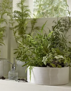 White Ribbed Ceramic Planter – Large