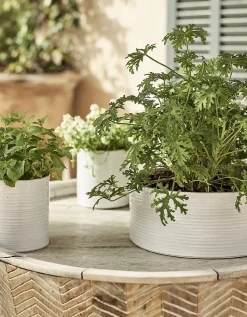 White Ribbed Ceramic Planter – Large