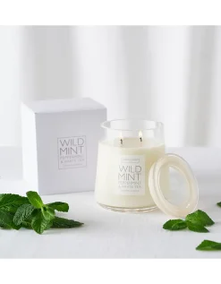 Wild Mint Collection