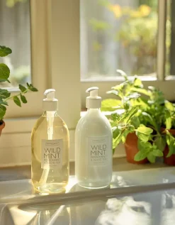 Wild Mint Collection