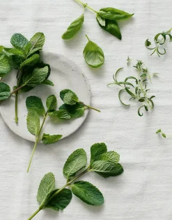 Wild Mint Home Spray