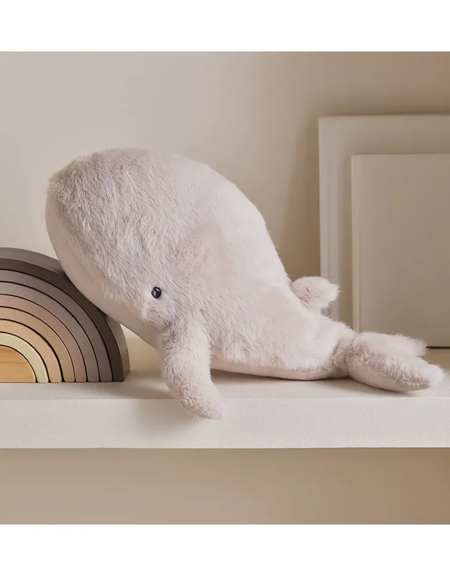 Winnie Whale